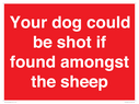your-dog-could-be-shot-if-found-amongst-the-sheep~
